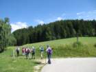 pohorje4_small.jpg