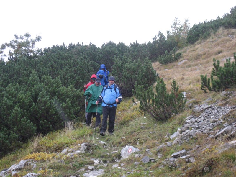 pokljuka001.jpg