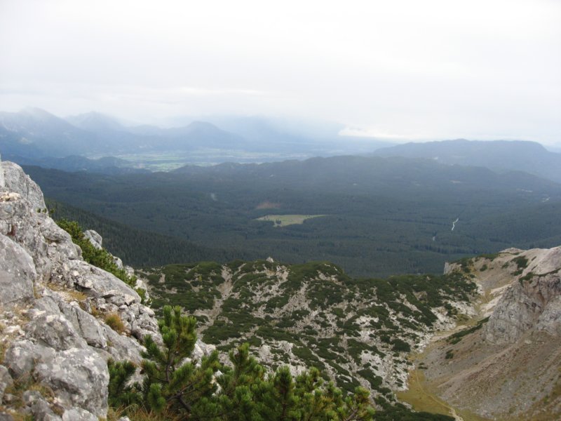 pokljuka006.jpg