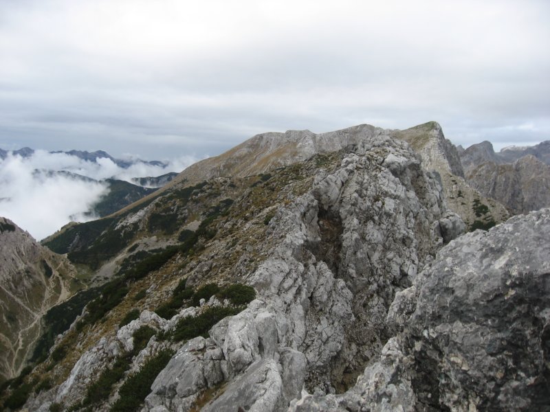 pokljuka012.jpg
