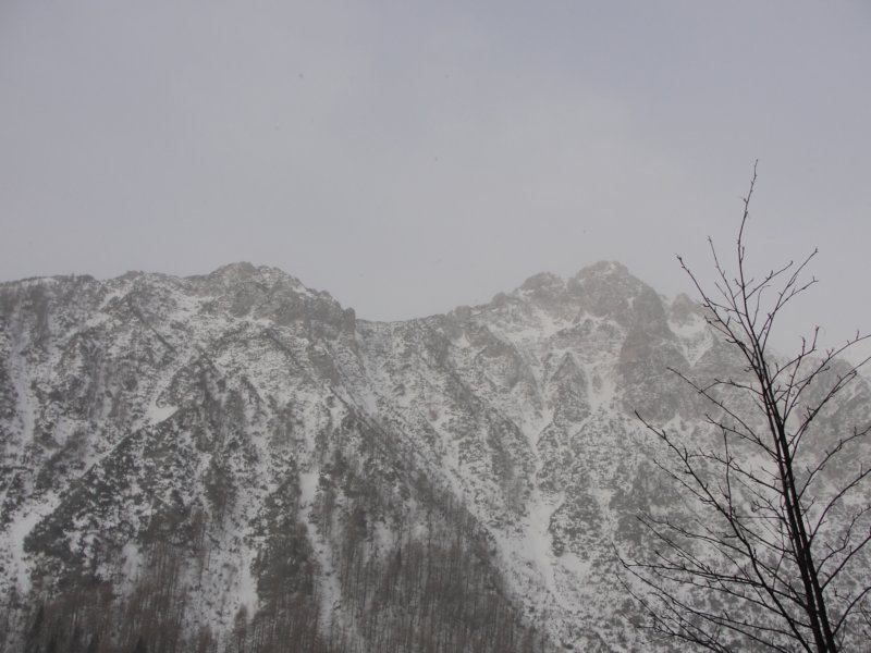 pokljuka201221.jpg