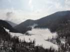 pokljuka201242_small.jpg