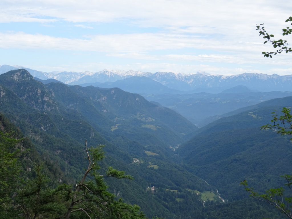 poldanovec13.jpg
