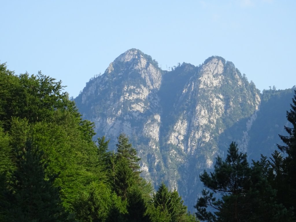 poldanovec25.jpg