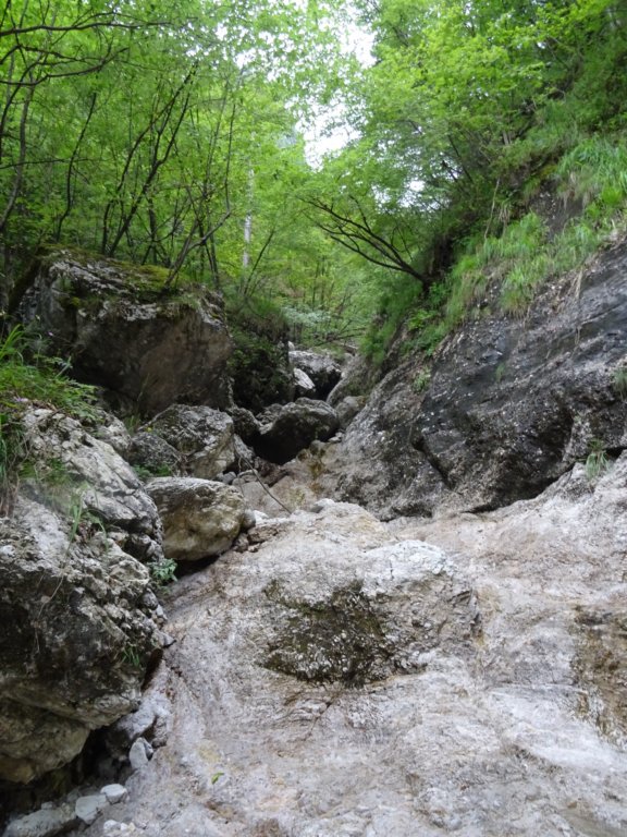 poldanovec4.jpg