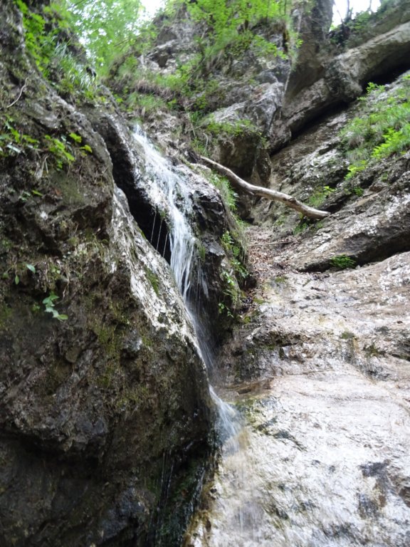 poldanovec5.jpg
