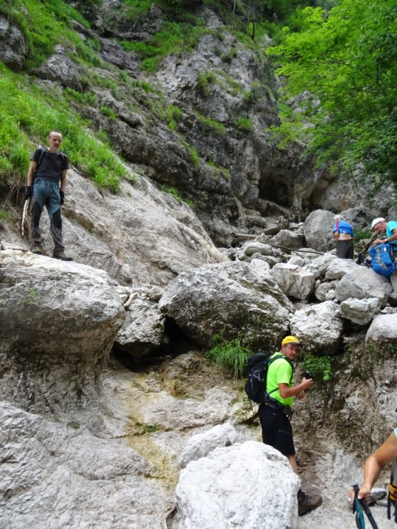poldanovec7.jpg