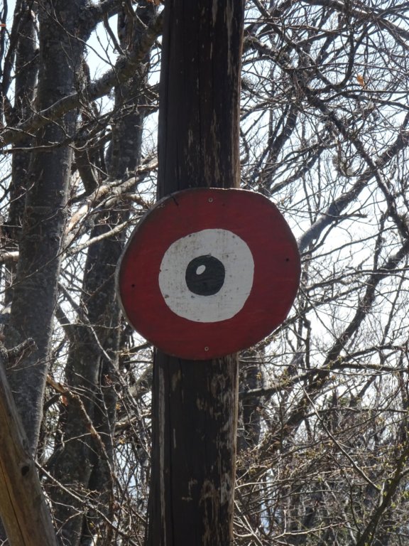 pomedvedovihstopinjah11.jpg