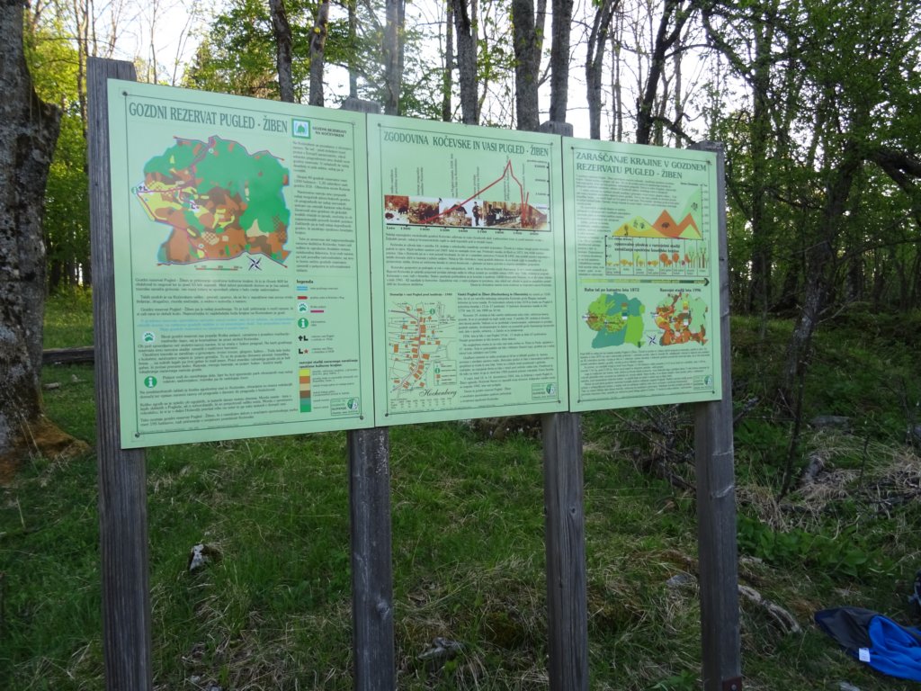 pomedvedovihstopinjah2.jpg
