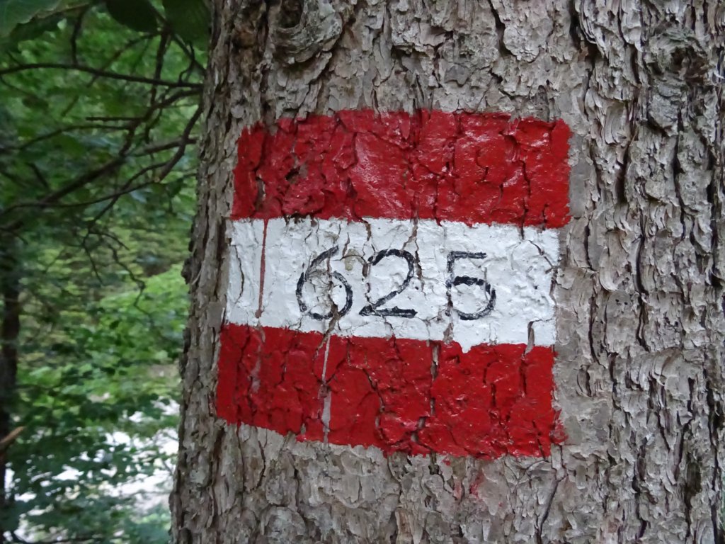 potsakegakralja2.jpg