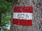 potsakegakralja2_small.jpg