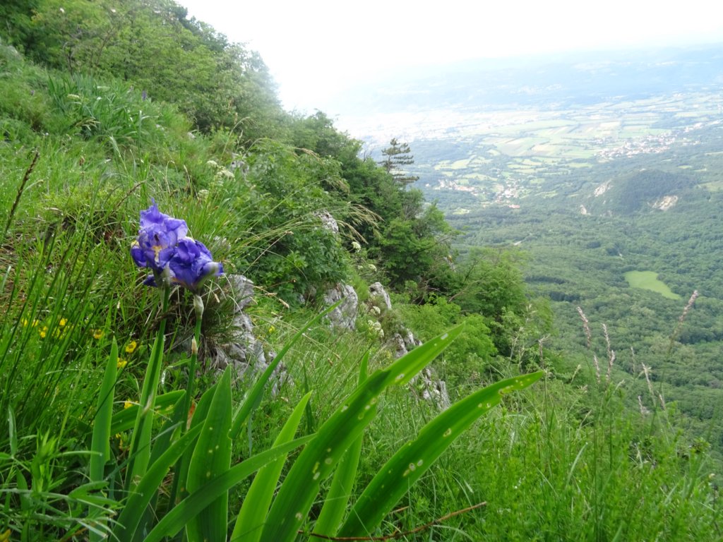 potporobu19.jpg
