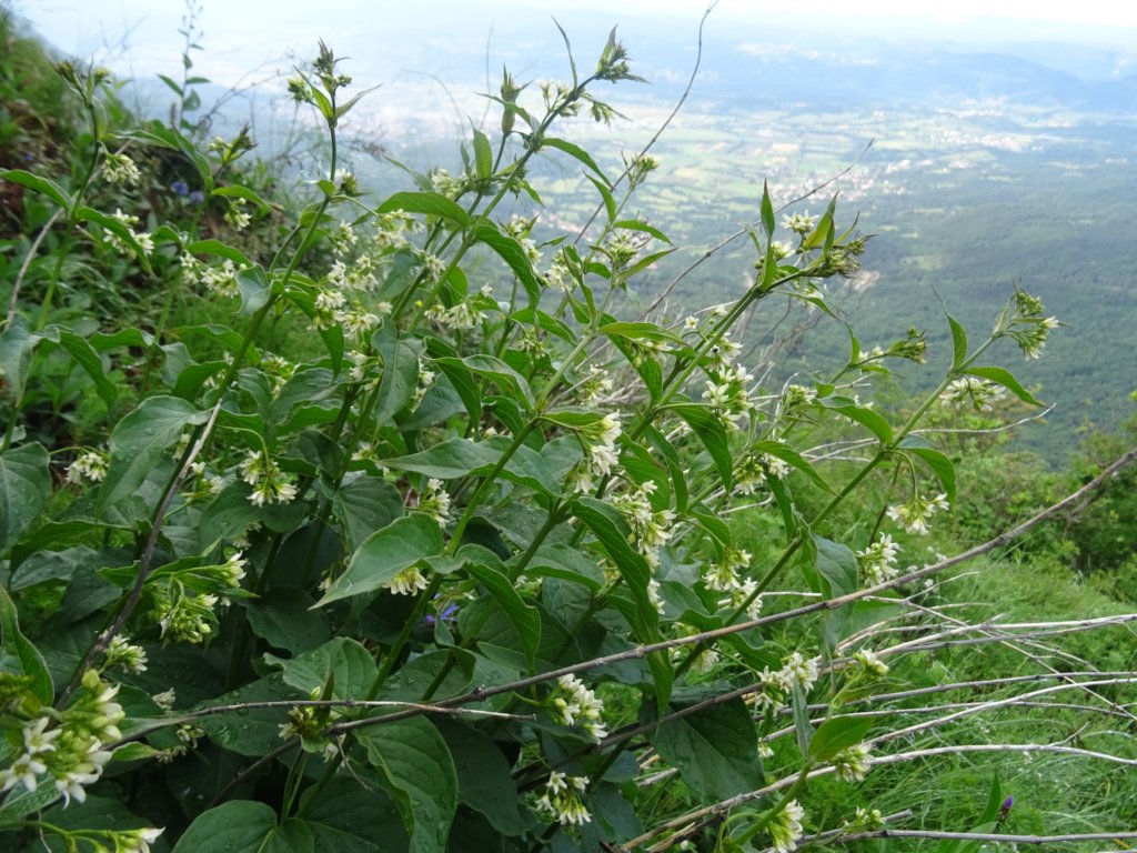 potporobu20.jpg