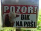 potporobu83_small.jpg