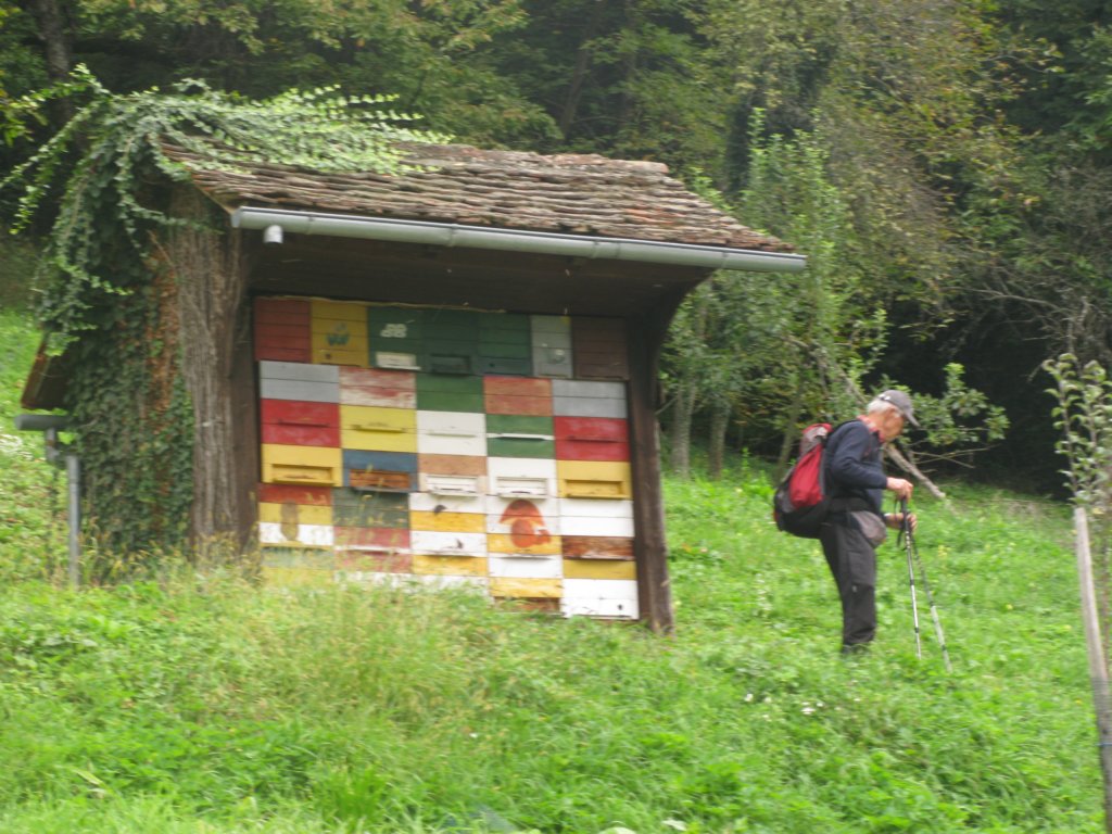 potsuverenosti49.jpg