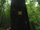 potsuverenosti54_small.jpg