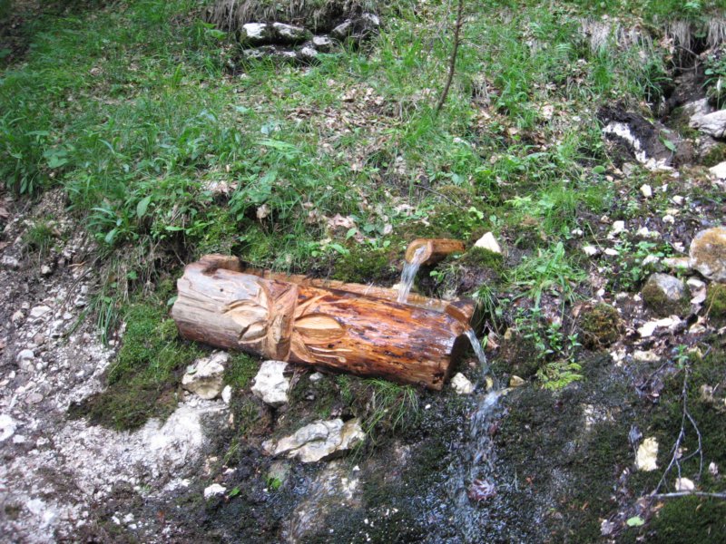 potstoletnice14.jpg