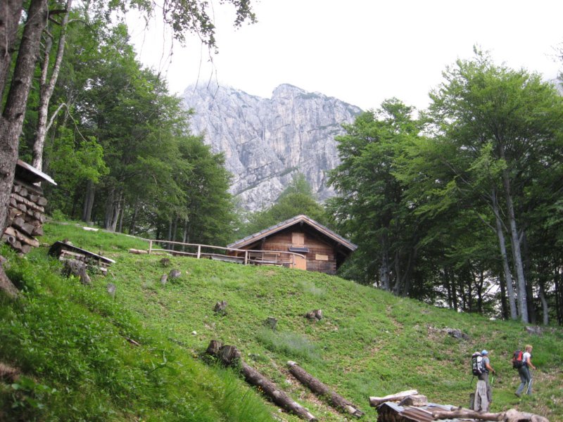 potstoletnice15.jpg