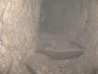 potstoletnice32_small.jpg