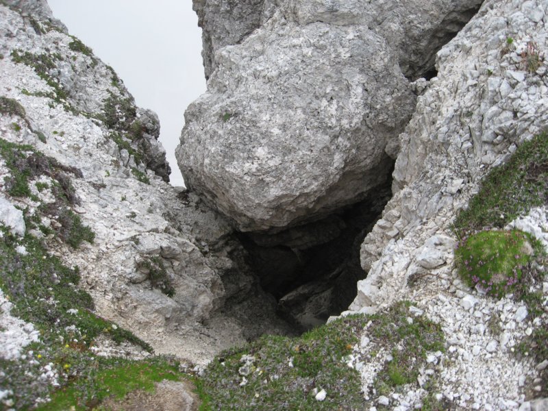 potstoletnice42.jpg