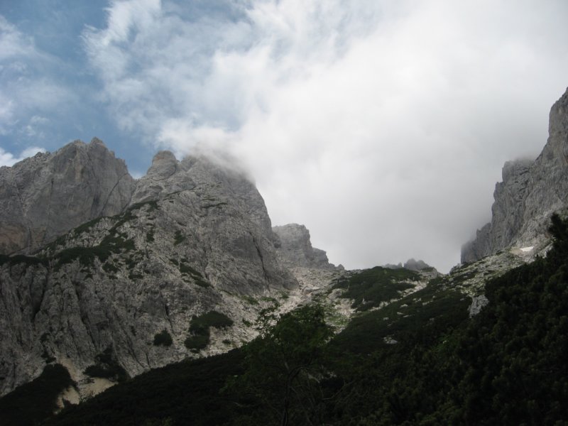 potstoletnice68.jpg