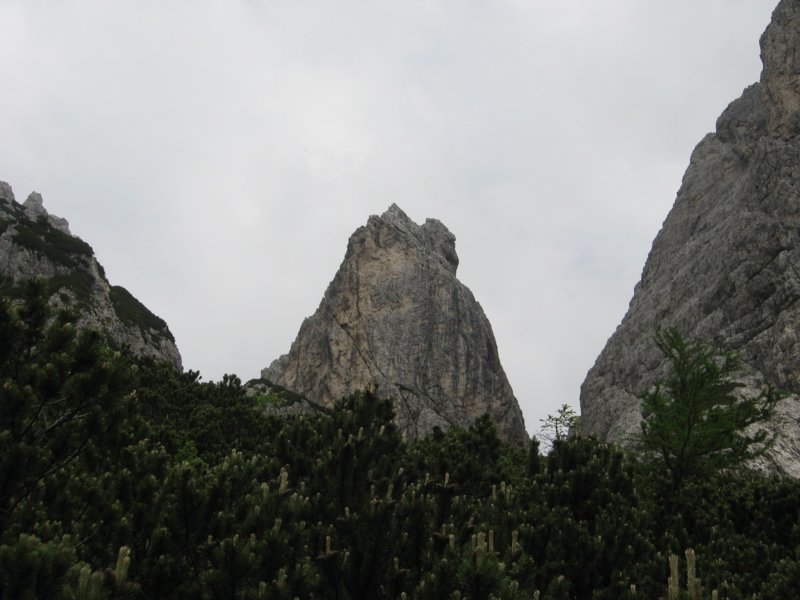 potstoletnice72.jpg