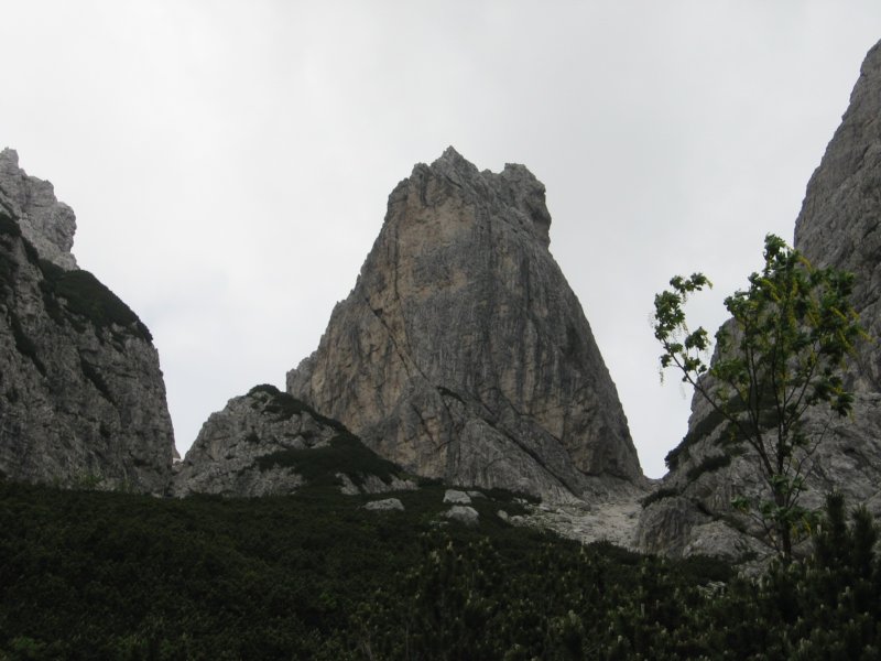 potstoletnice74.jpg