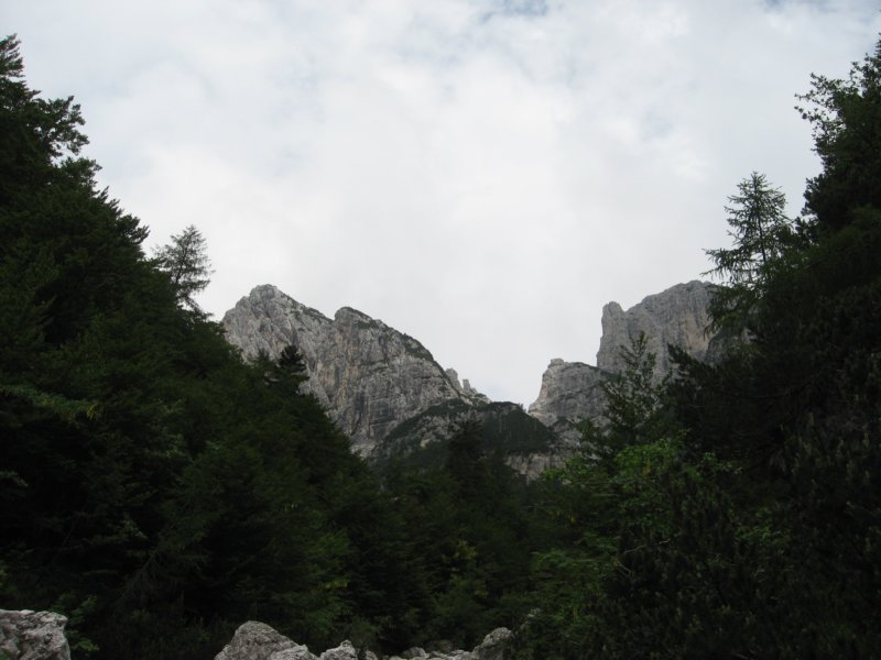 potstoletnice76.jpg