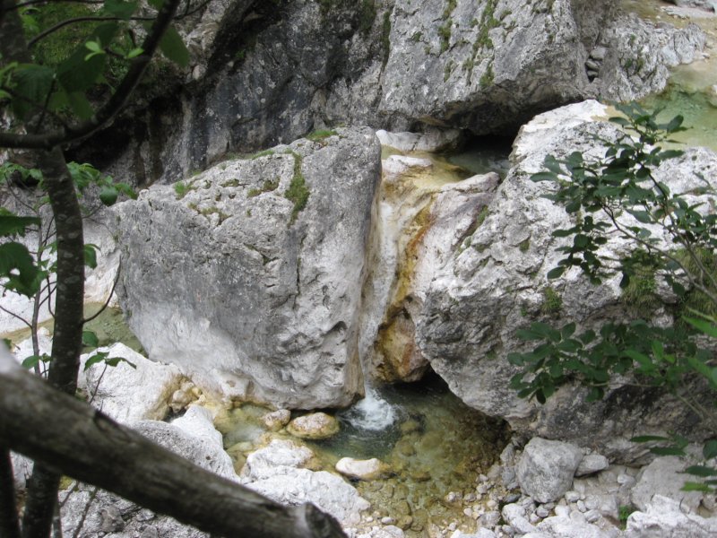 potstoletnice79.jpg