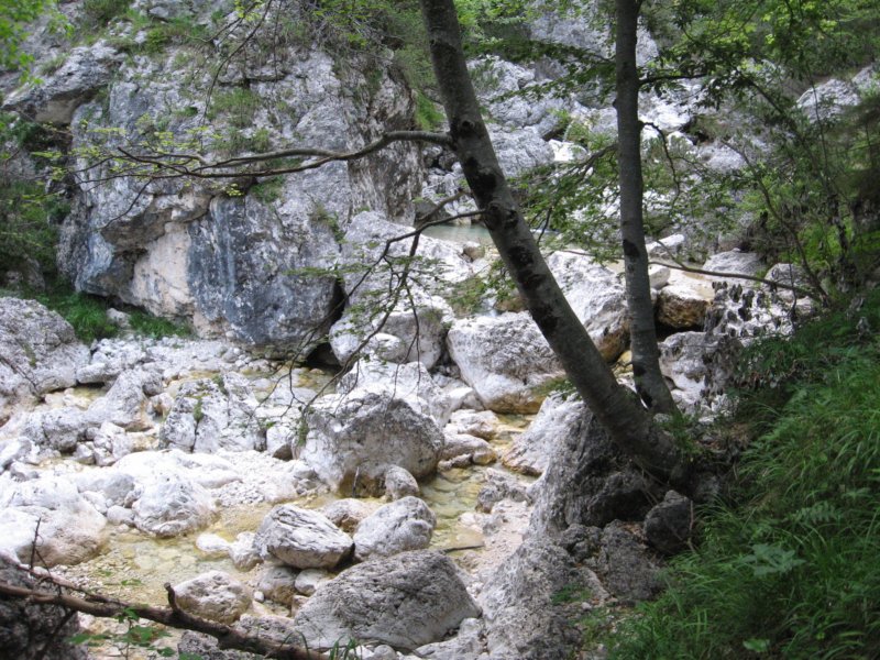 potstoletnice8.jpg