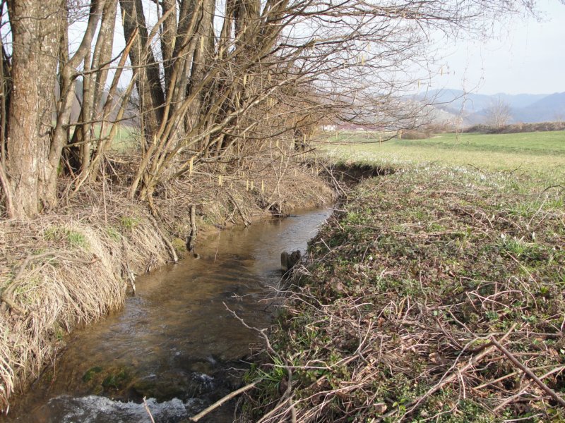 povrnica12.jpg