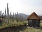 povrnica32_small.jpg