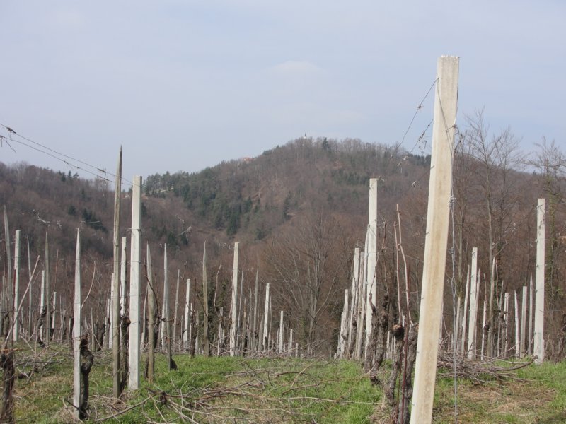 povrnica46.jpg
