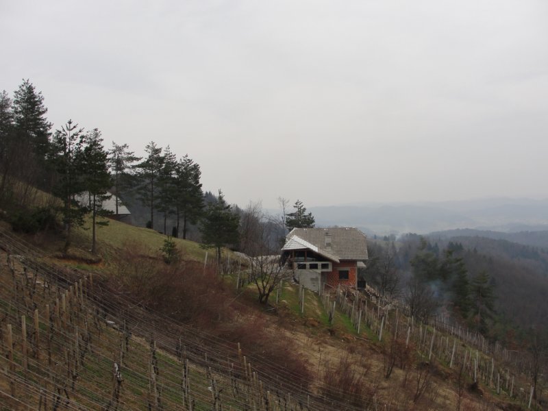 povrnica80.jpg
