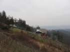 povrnica80_small.jpg