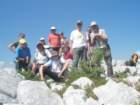 poganamlinarica30_small.jpg