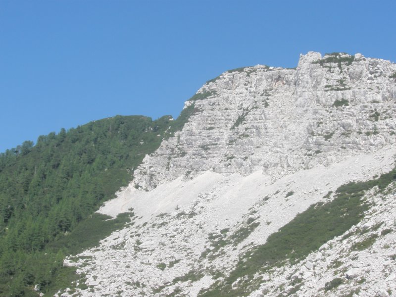 poganamlinarica34.jpg