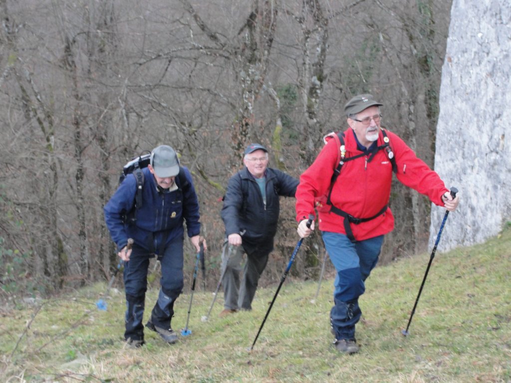 podolenjski25.jpg
