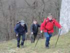 podolenjski25_small.jpg