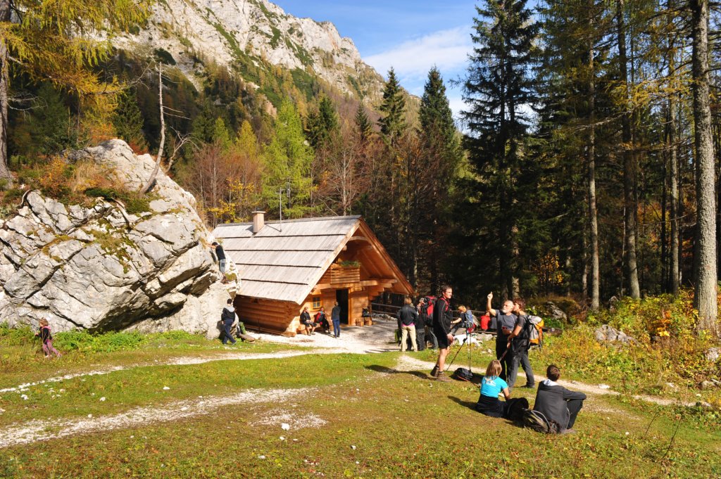 povrhovih35.jpg