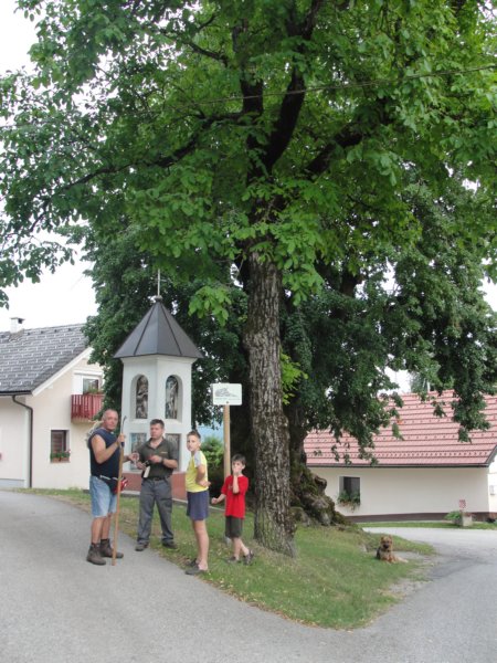 kronapotprijetnodomae31.jpg