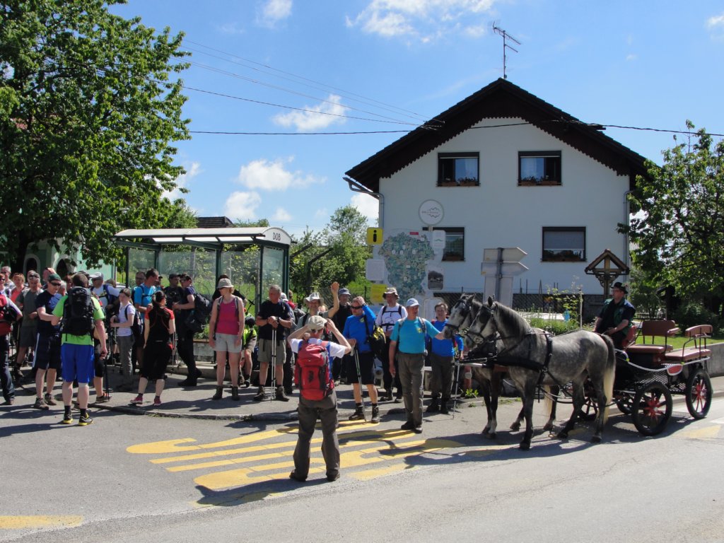 prijetnodomae201572.jpg