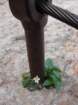 prisank19_small.jpg