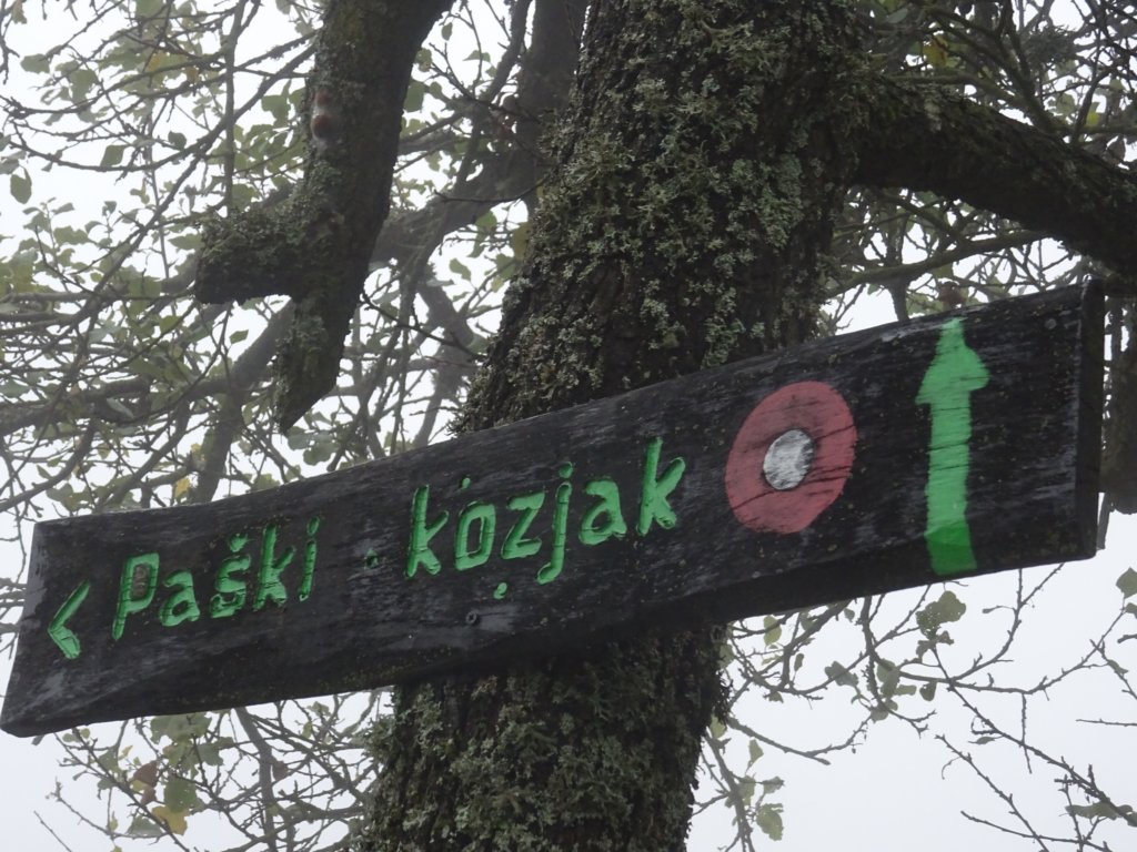 pakikozjak11.jpg