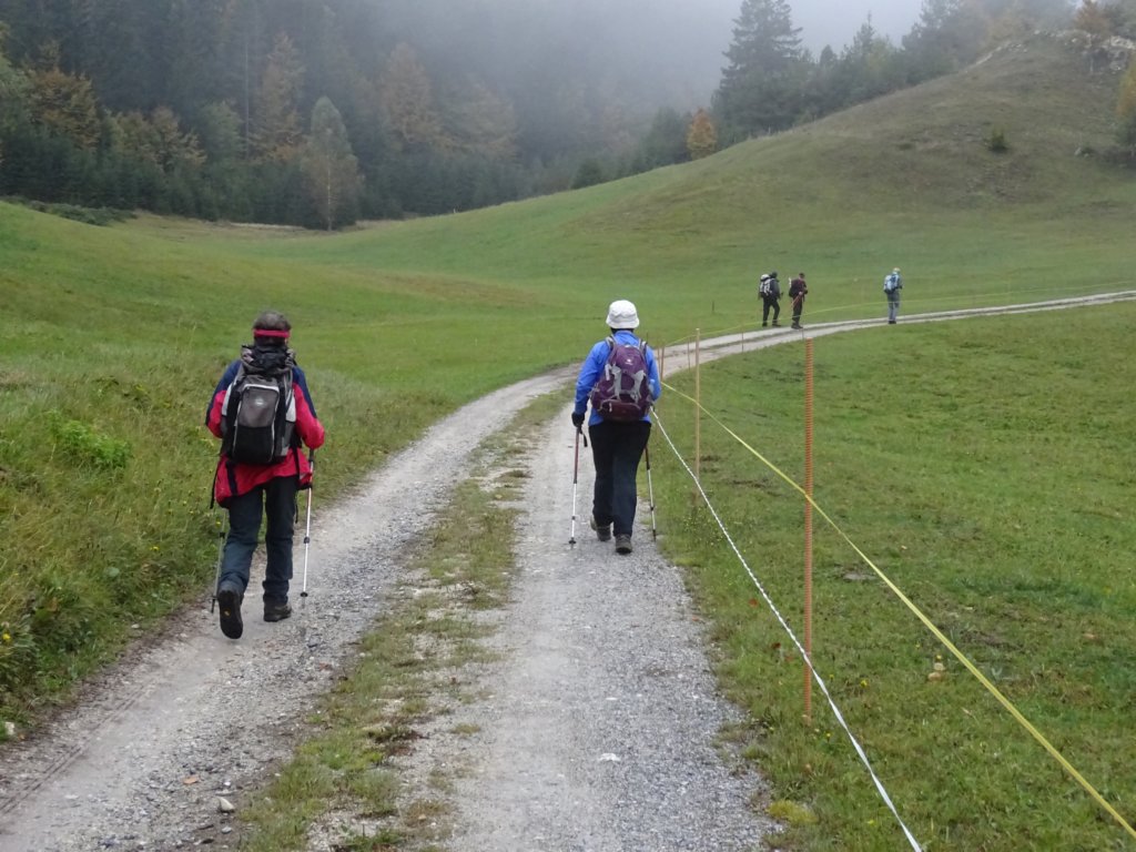 pakikozjak2.jpg