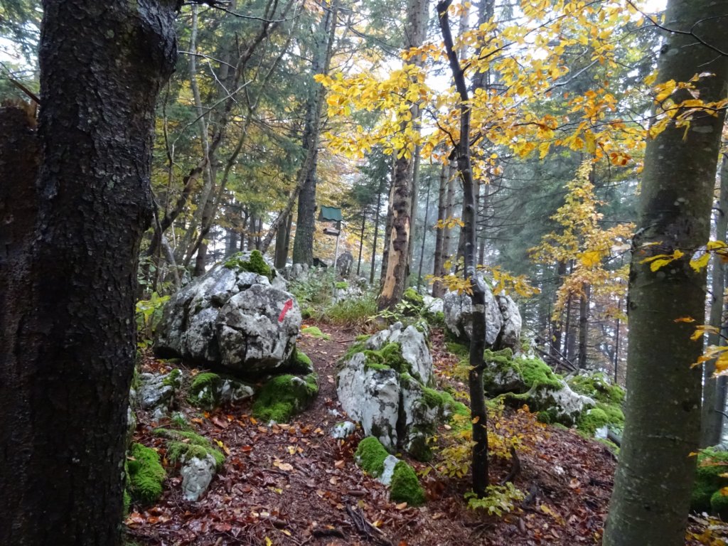 pakikozjak22.jpg