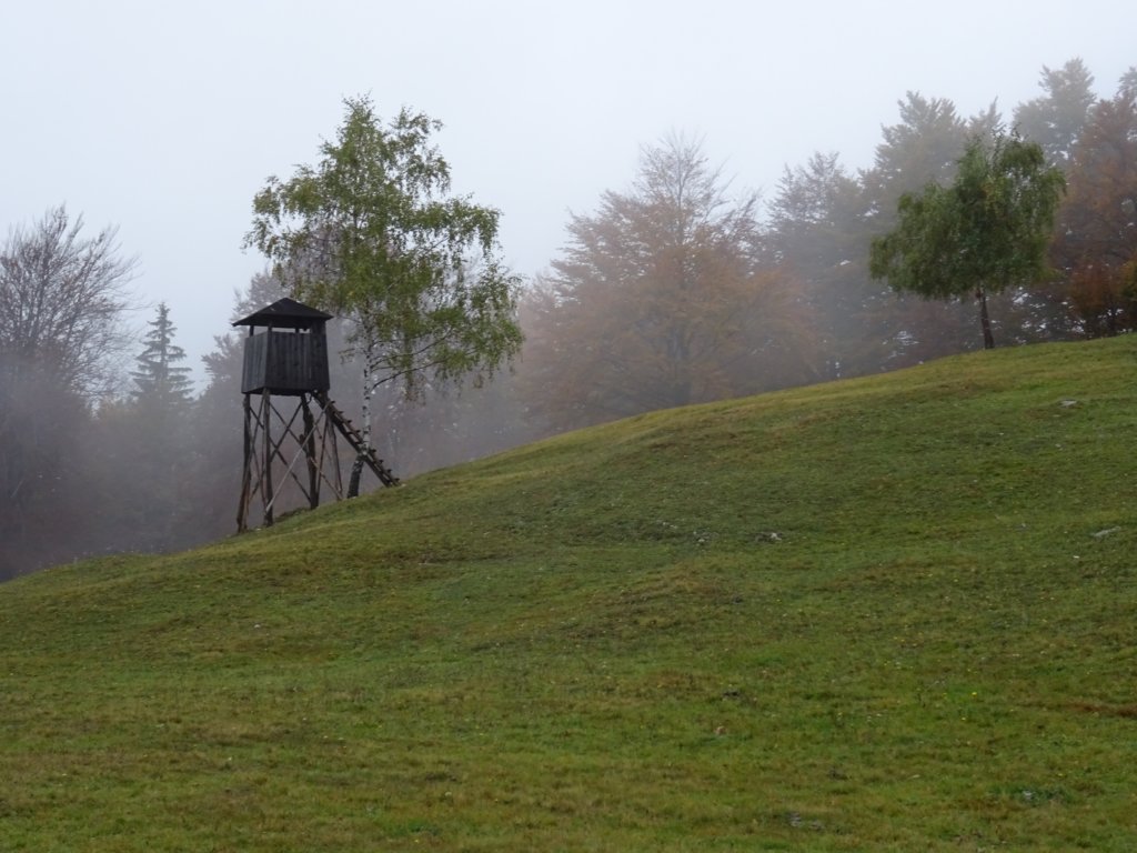 pakikozjak28.jpg