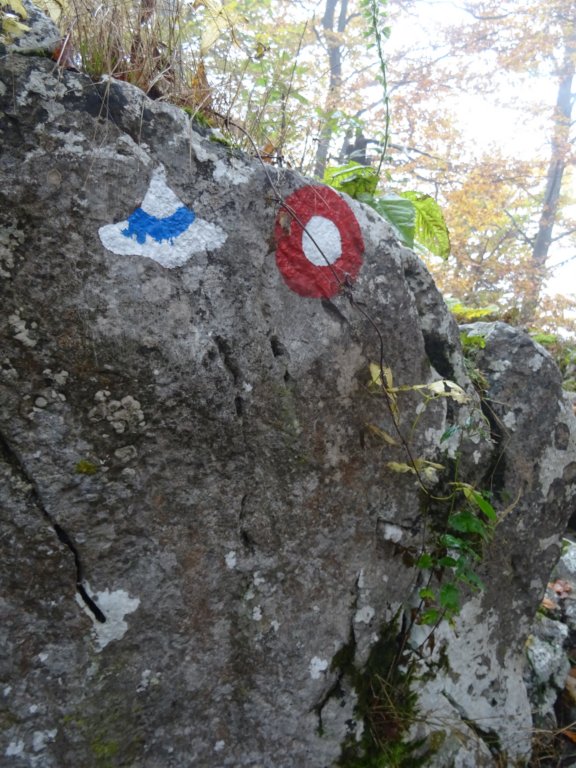 pakikozjak33.jpg