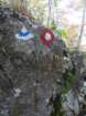 pakikozjak33_small.jpg