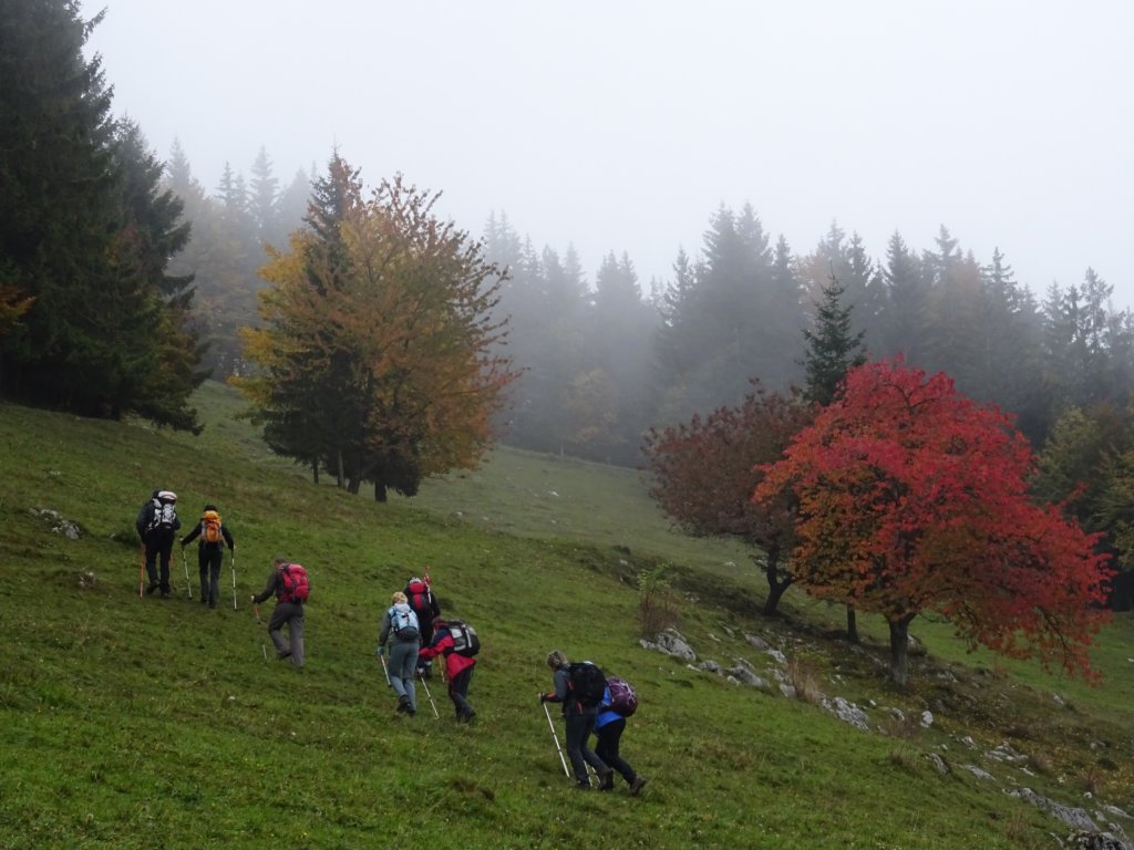 pakikozjak6.jpg